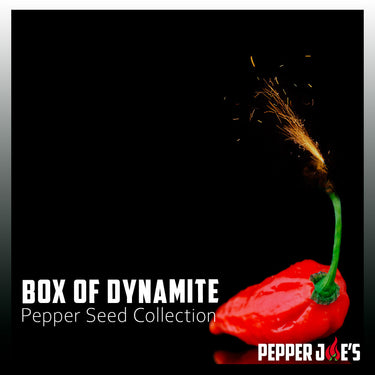 Box of Dynamite Super Hot Seed Collection